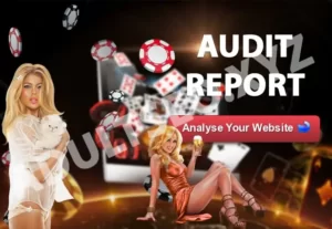 5196Audit Report – Website SEO Analysis